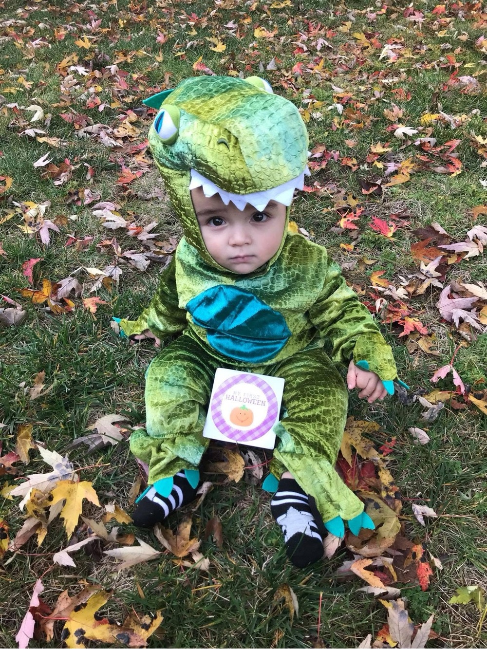 12M Green Dinosaur Halloween Costume 🦖